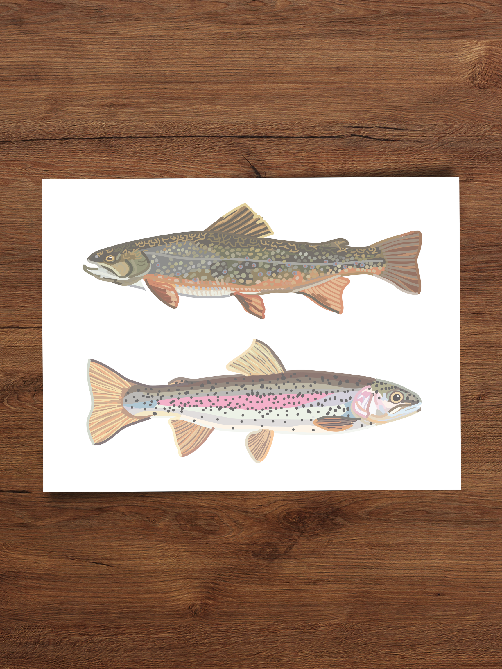 Rainbow & Brook Trout